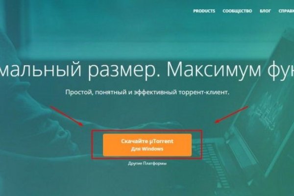 Адрес кракен в тор
