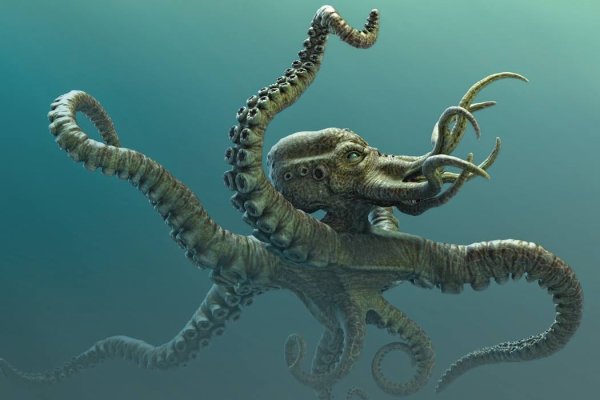 Зеркало kraken kraken16 at kraken16 at