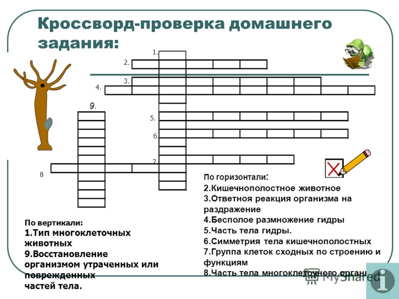 Кракен перестал работать